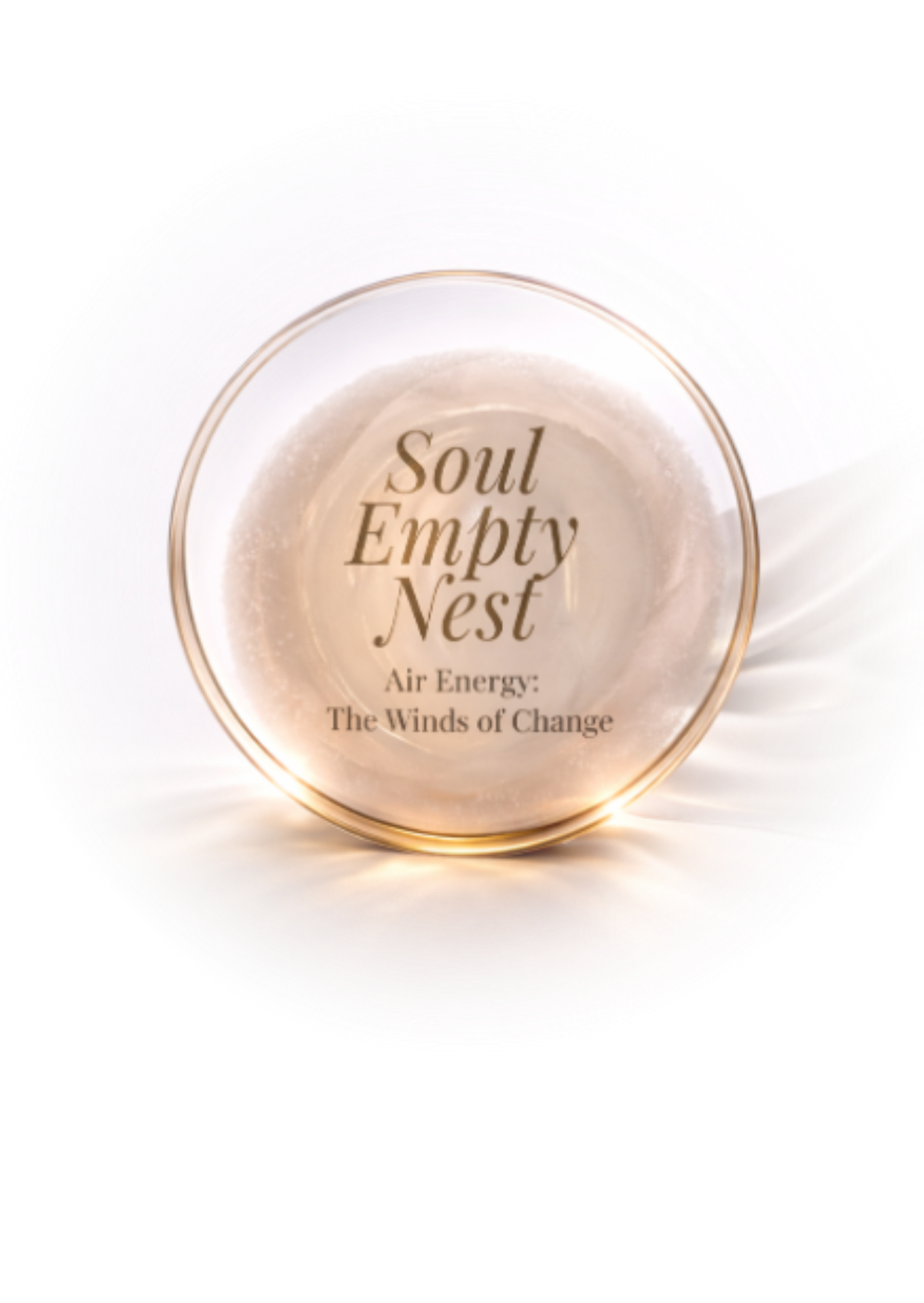 Soul Empty Nest